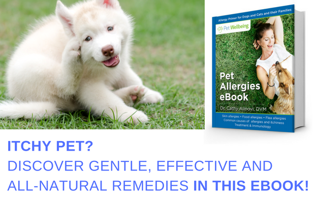 Pet Allergies eBook