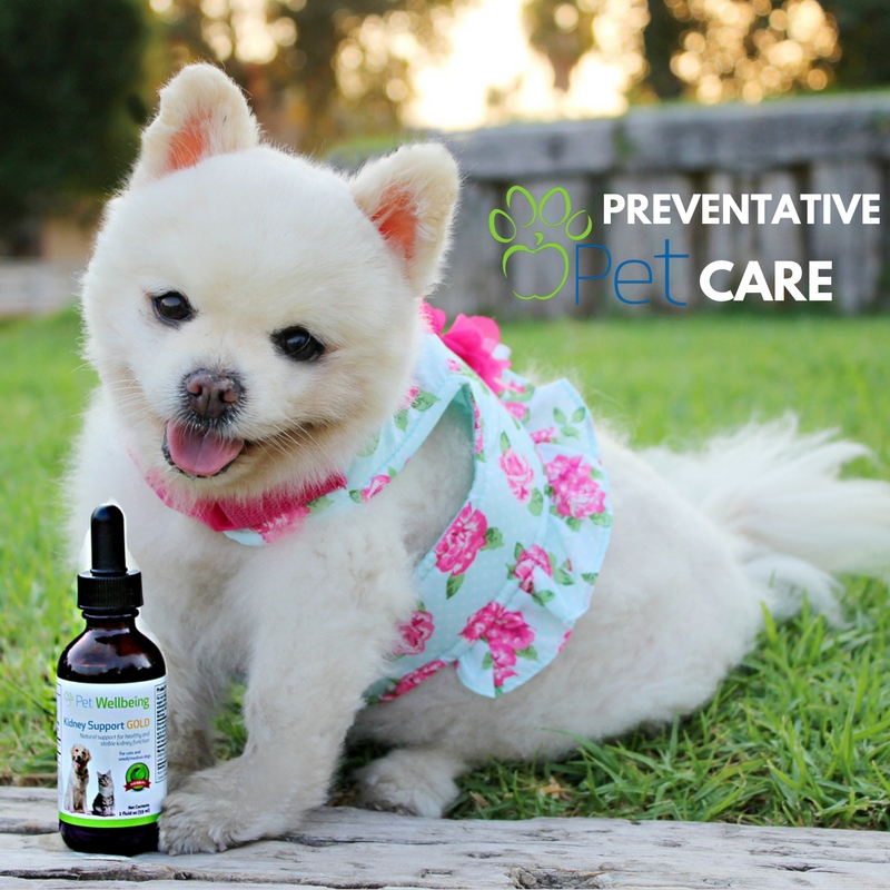 preventative-pet-care