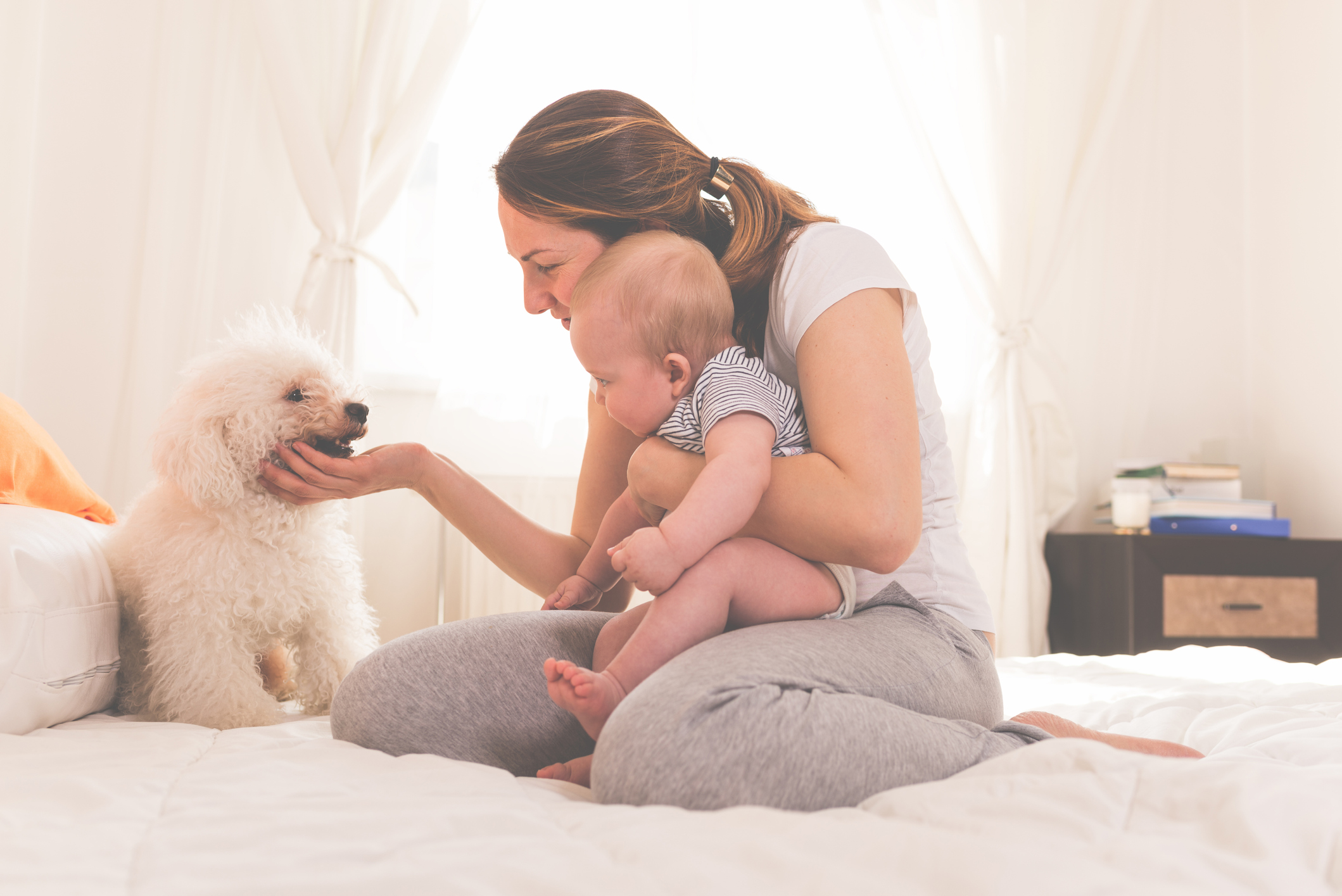 A new mom introduces her baby to the family dog on the bed