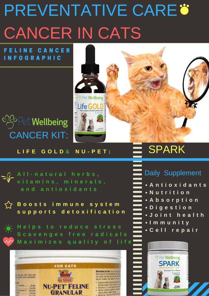 feline-cancer-petwellbeing