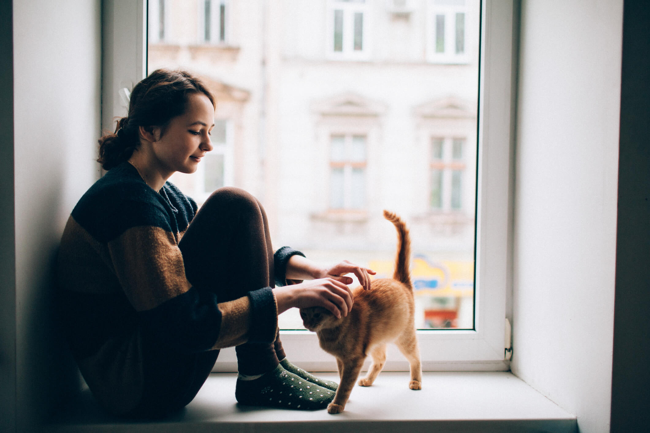Young woman pets her orange tabby kitten on a large window sill overlooking the city
