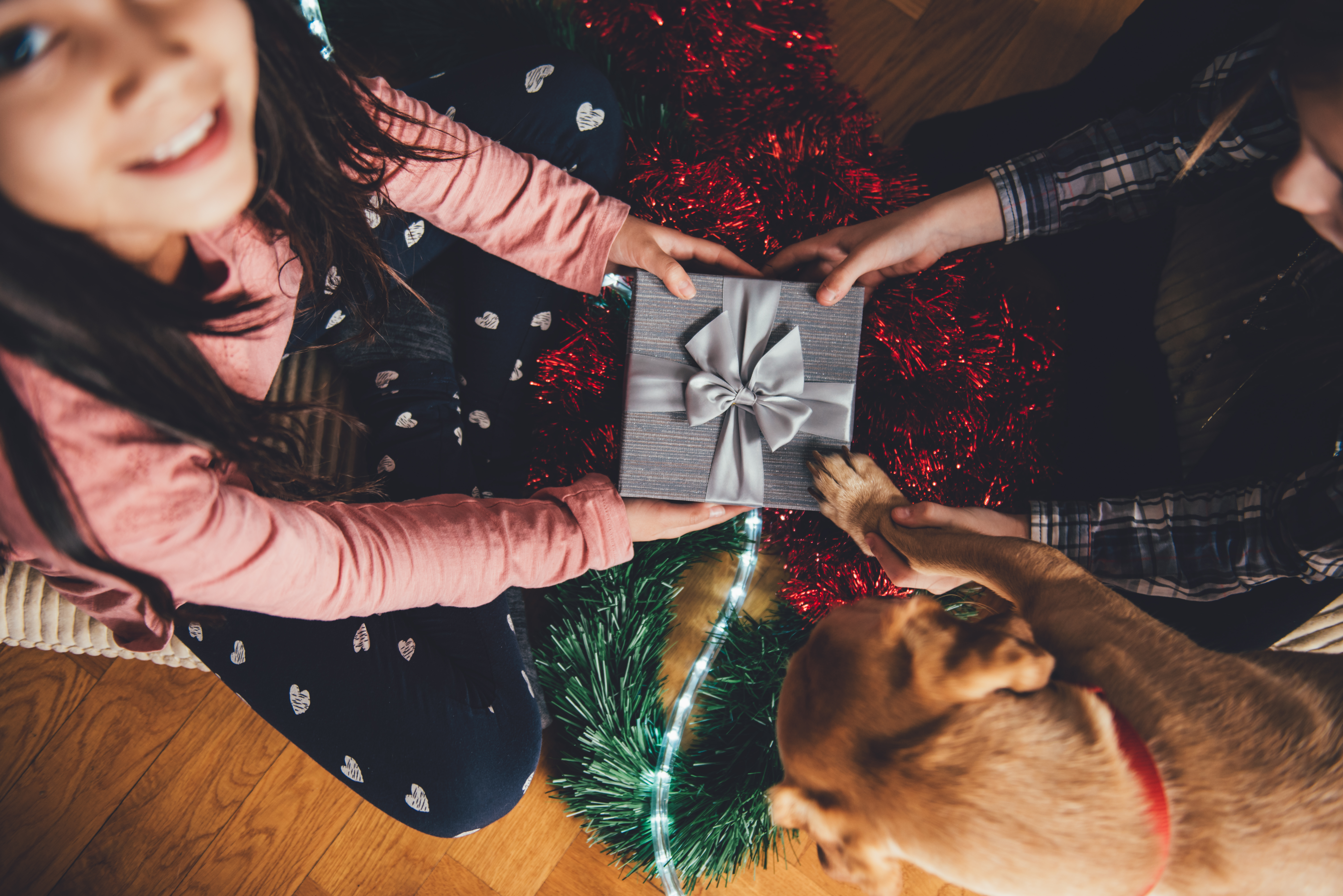 Kids open Christmas gifts with the family dog