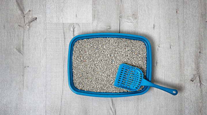 Top view of a cat litter tray and scoop sitting on a hardwood floor