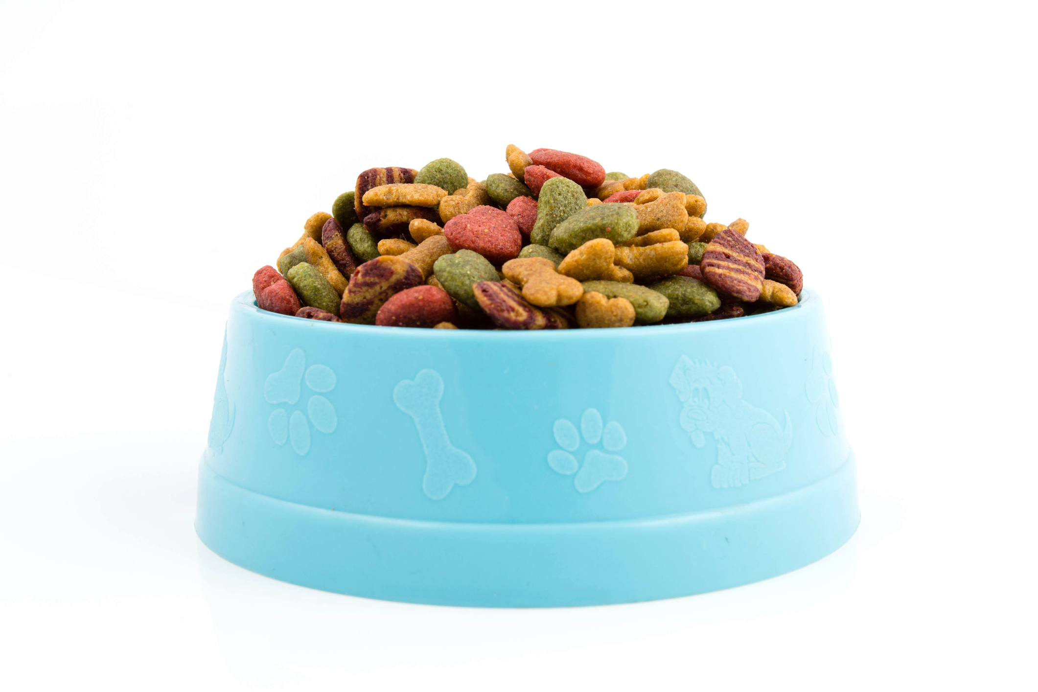 A pet food bowl full of multi colored kibble 