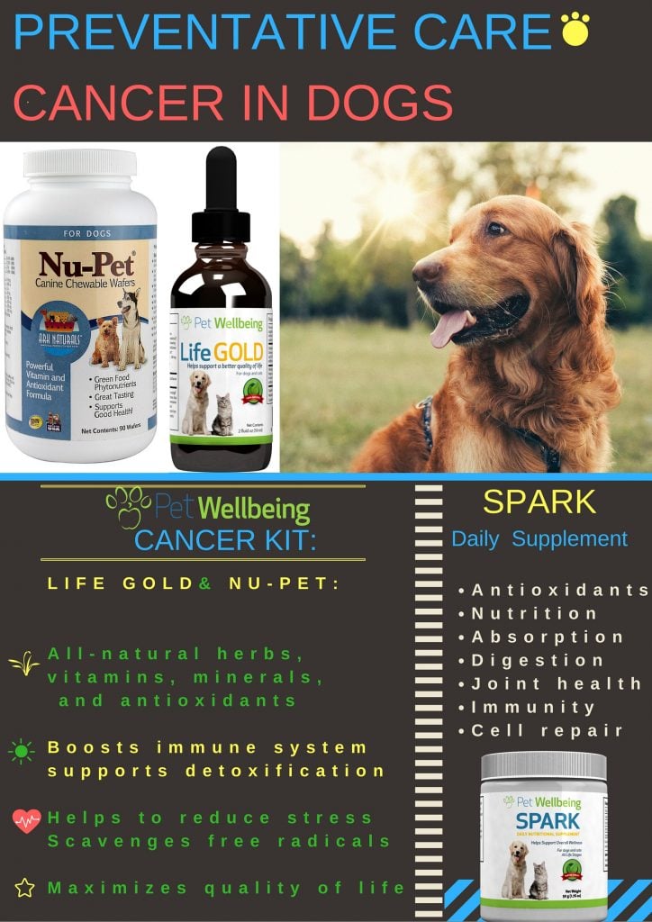 petsellbeing cancer kit for dogs